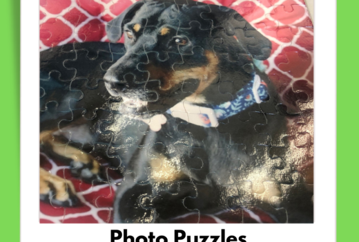 Photo Jigsaw Puzzles To Go