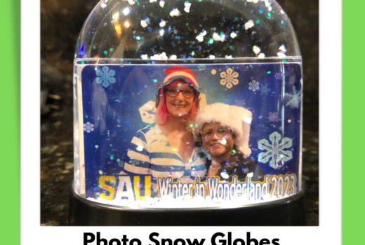 Photo Shakable Snow Globes